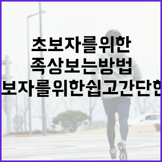 족상 보는 방법: 초보자를 위한 쉽고 간단한 가이드 - 요약