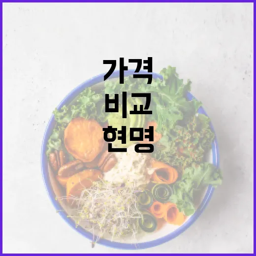 마운자 가격을 현명하게 비교하고 구매하는 방법 - 요약