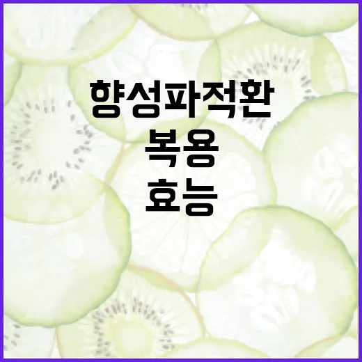 향성파적환의 효능과 복용 방법 알아보기 - 요약