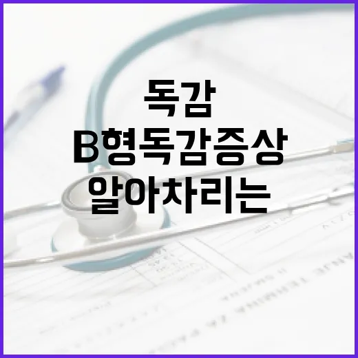 B형 독감 증상을 알아차리는 방법 - 요약