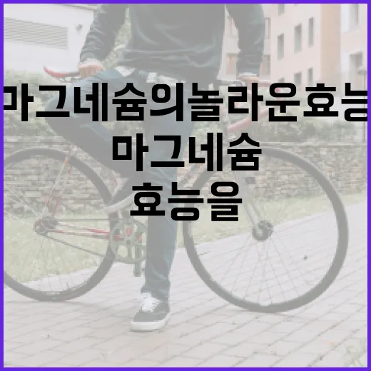 마그네슘의 놀라운 효능을 알아보는 방법 - 요약