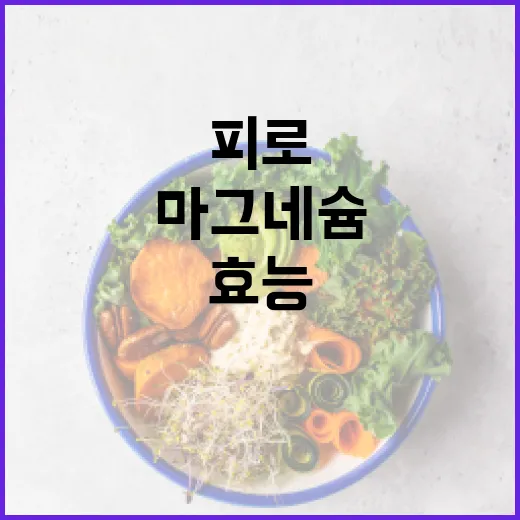 피로를 줄이는 마그네슘의 효능과 섭취 방법 - 요약