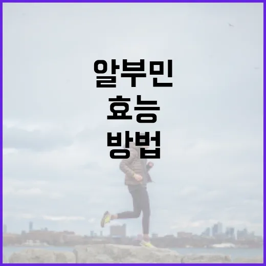 알부민의 효능을 최대한 활용하는 방법 - 요약