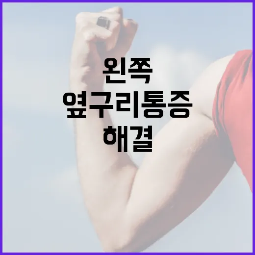 왼쪽 옆구리 통증 해결하는 방법 - 요약