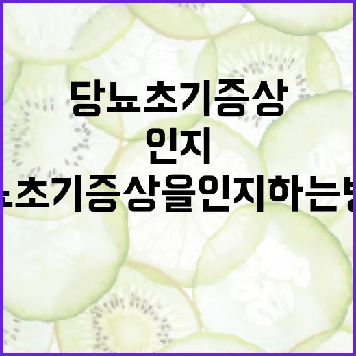 당뇨 초기증상을 인지하는 방법 - 요약