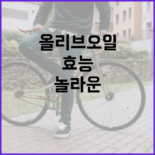 올리브오일의 놀라운 효능을 알아보는 방법 - 요약