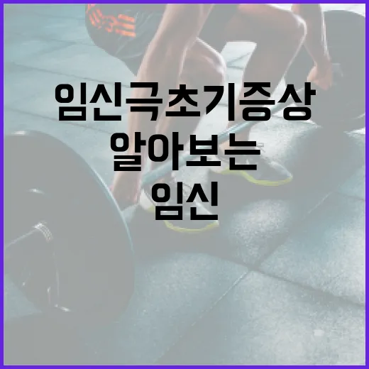 임신 극초기 증상을 알아보는 방법 - 요약