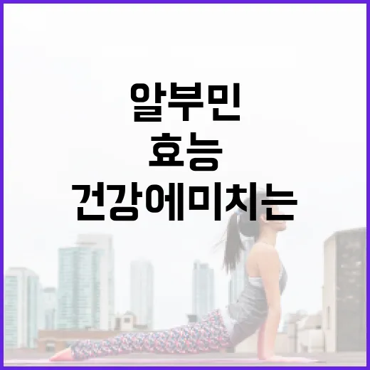 알부민의 놀라운 효능과 건강에 미치는 영향 알아보기 - 요약