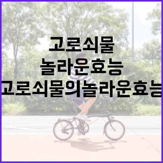 고로쇠물의 놀라운 효능과 활용 방법 - 요약