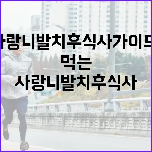 사랑니 발치 후 식사 가이드: 안전하고 맛있게 먹는 방법 - 요약