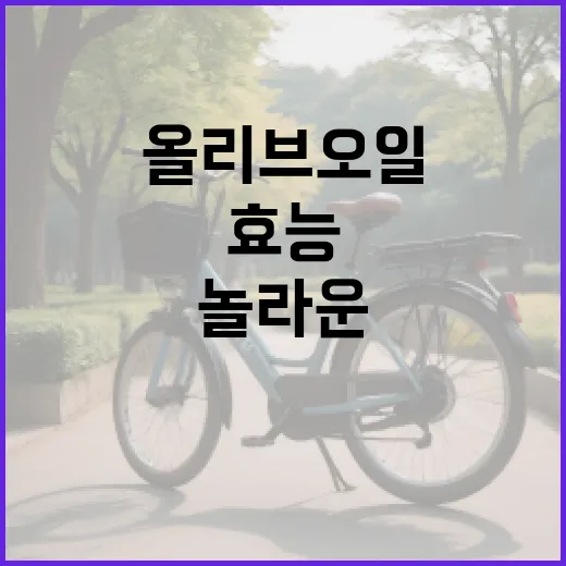 올리브오일의 놀라운 효능을 알아보는 방법 - 요약