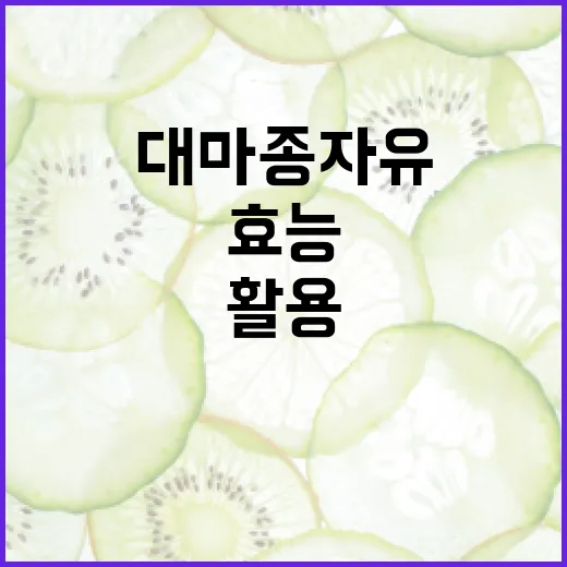 대마종자유의 놀라운 효능과 활용 방법 - 요약