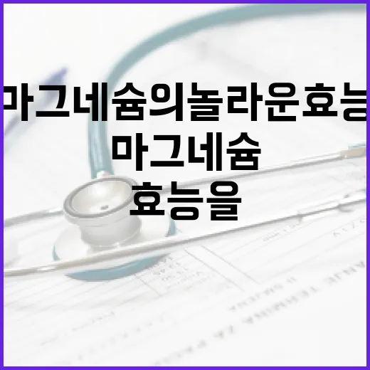 마그네슘의 놀라운 효능을 알아보는 방법 - 요약