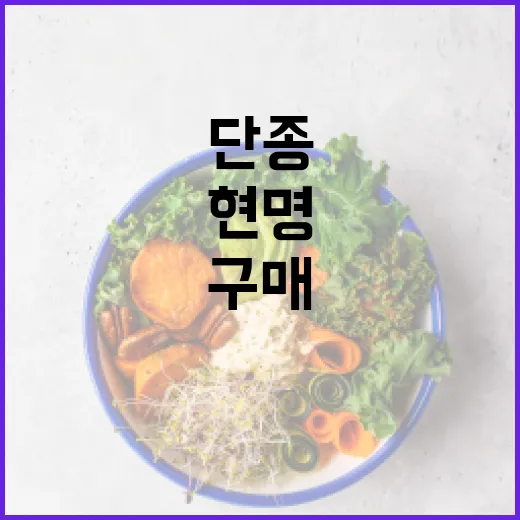 단종된 제품을 현명하게 구매하는 방법 - 요약