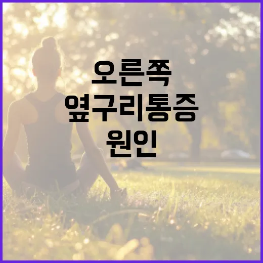 오른쪽 옆구리 통증의 원인과 완화 방법 - 요약