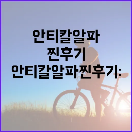 안티칼알파 찐후기: 효과적으로 사용하는 방법 - 요약