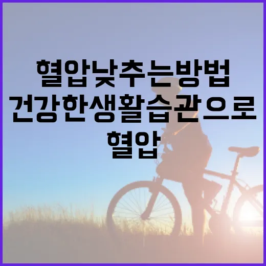 혈압 낮추는 방법: 건강한 생활 습관으로 관리하기 - 요약