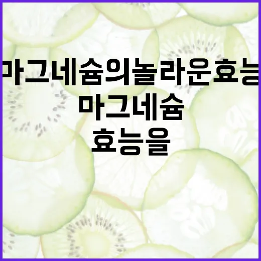 마그네슘의 놀라운 효능을 알아보는 방법 - 요약