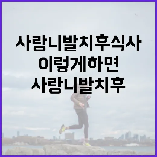 사랑니 발치 후 식사, 이렇게 하면 좋아요 - 요약