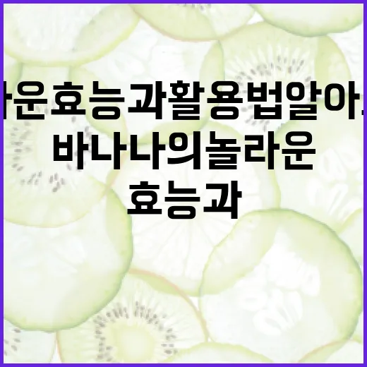 바나나의 놀라운 효능과 활용법 알아보기 - 요약