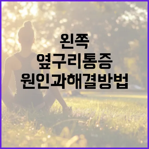 왼쪽 옆구리 통증의 원인과 해결 방법 - 요약