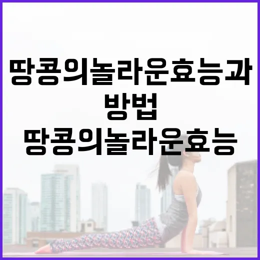땅콩의 놀라운 효능과 활용 방법 - 요약