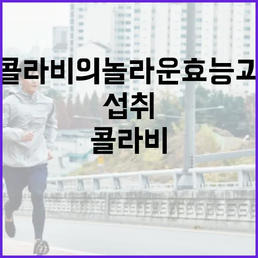 콜라비의 놀라운 효능과 건강하게 섭취하는 방법 - 요약