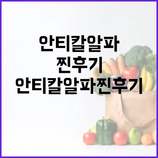 안티칼알파 찐후기로 알아보는 효과적인 사용 방법 - 요약