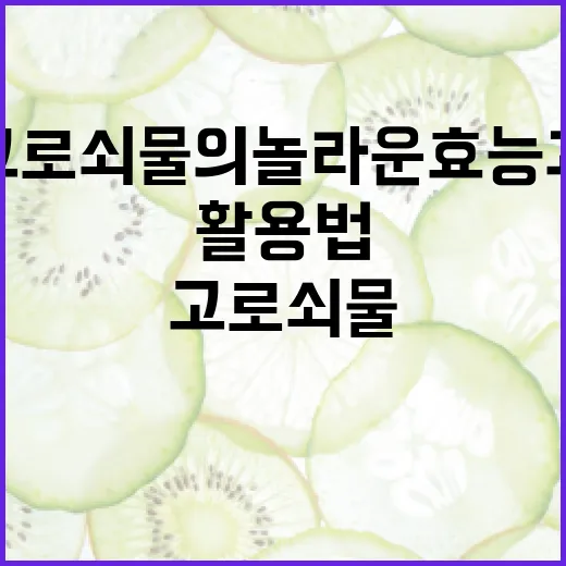 고로쇠물의 놀라운 효능과 활용법 - 요약