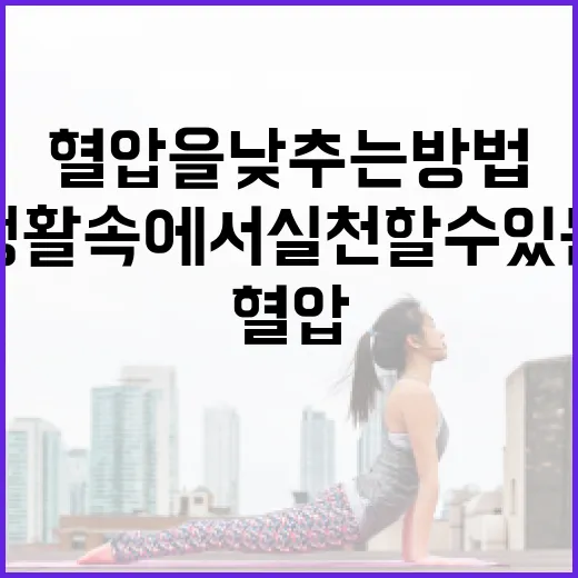 혈압을 낮추는 방법: 생활 속에서 실천할 수 있는 팁 - 요약