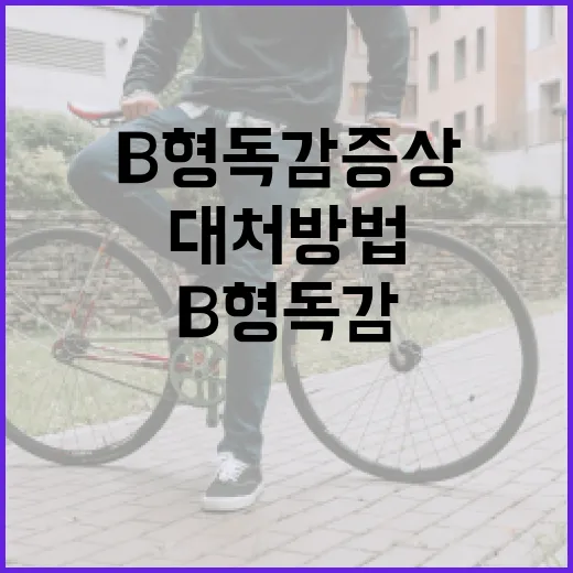 B형 독감 증상과 대처 방법 알아보기 - 요약