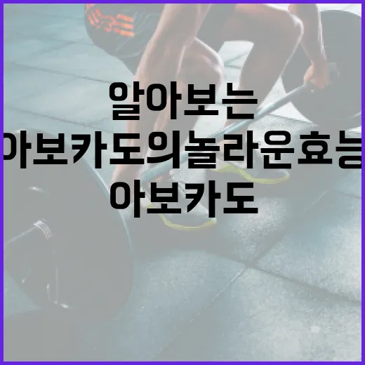 아보카도의 놀라운 효능을 알아보는 방법 - 요약