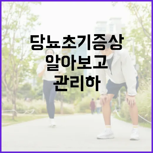 당뇨 초기증상을 알아보고 관리하는 방법 - 요약