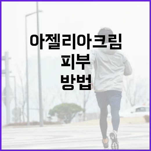 안티칼알파 찐후기로 알아보는 효과적인 사용법 - 요약