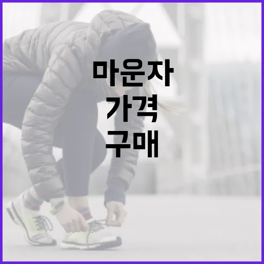 마운자를 구매할 때 가격을 고려하는 방법 - 요약