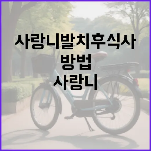 사랑니 발치 후 식사하는 방법 - 요약