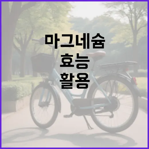마그네슘 효능을 최대한 활용하는 방법 - 요약