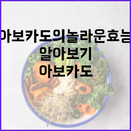 아보카도의 놀라운 효능 알아보기 - 요약