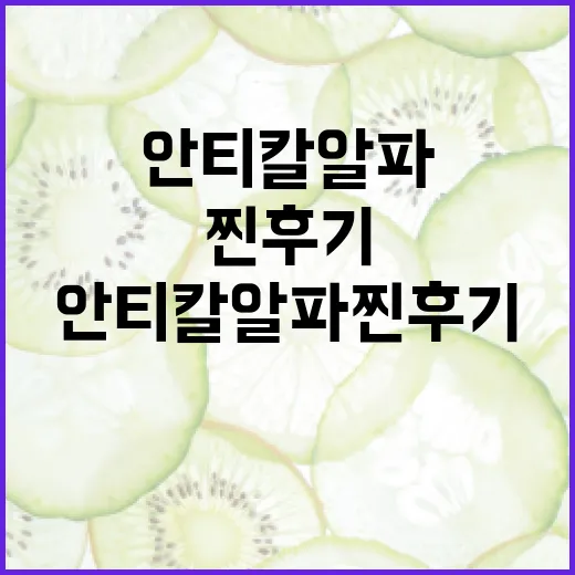 안티칼알파 찐후기: 효과적으로 활용하는 방법 - 요약