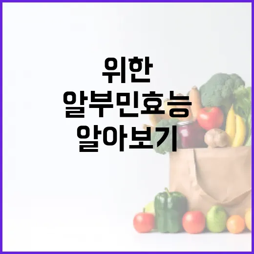 알부민 효능 알아보기: 건강을 위한 필수 정보 - 요약