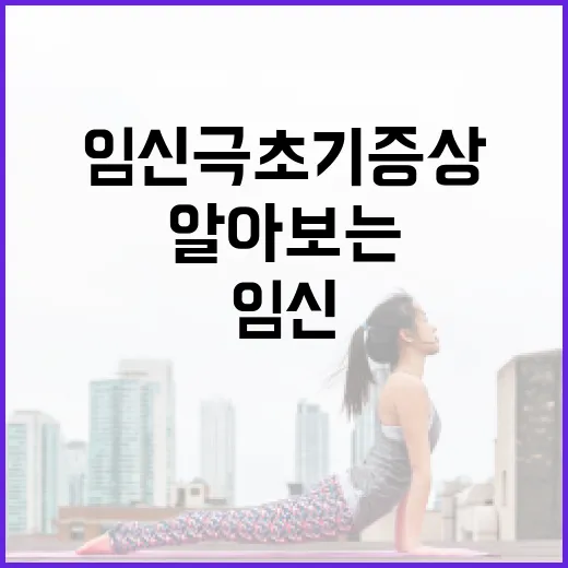 임신 극초기증상을 알아보는 방법 - 요약