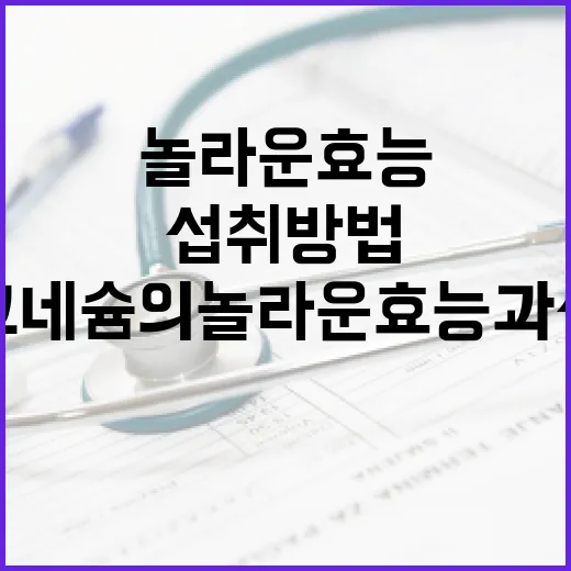 마그네슘의 놀라운 효능과 섭취 방법 - 요약