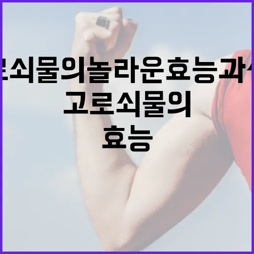 고로쇠물의 놀라운 효능과 섭취 방법 - 요약