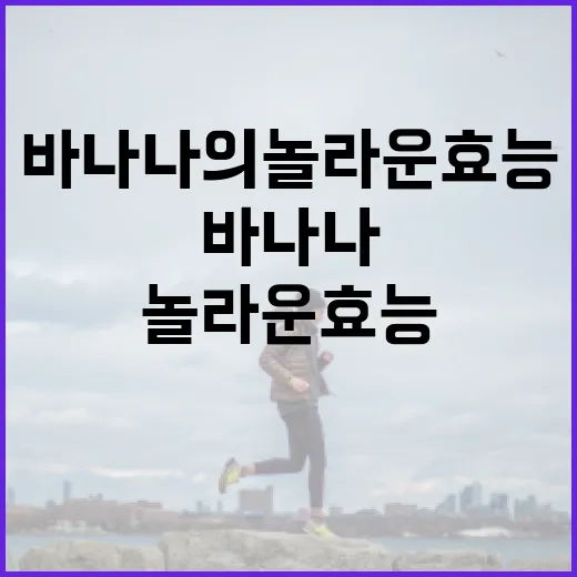 바나나의 놀라운 효능을 알아보는 방법 - 요약
