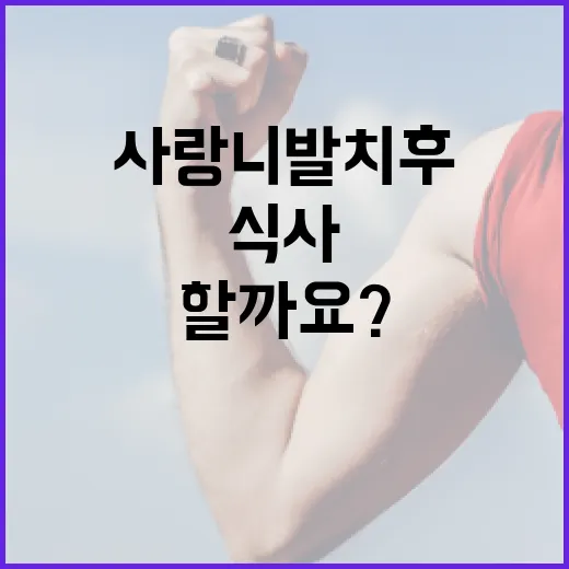 사랑니 발치 후 어떻게 식사해야 할까요? - 요약