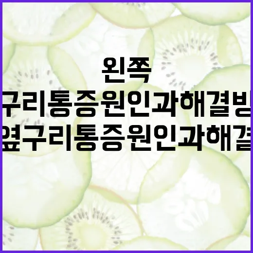 왼쪽 옆구리 통증 원인과 해결 방법 - 요약