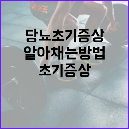 당뇨 초기증상을 알아채는 방법 - 요약