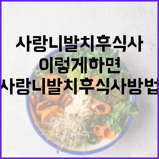 사랑니 발치 후 식사 방법: 이렇게 하면 걱정 없어요! - 요약