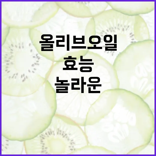 올리브오일의 놀라운 효능을 이해하는 방법 - 요약
