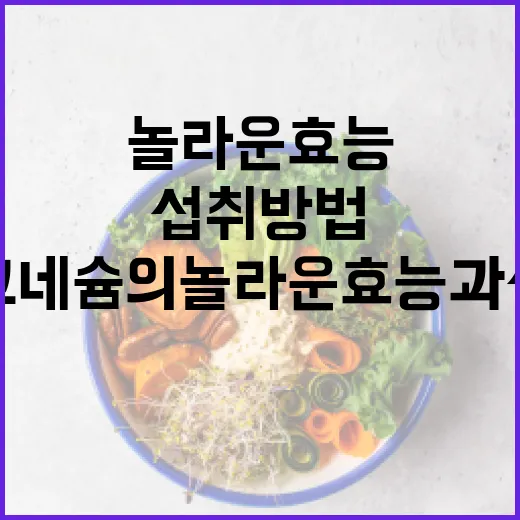 마그네슘의 놀라운 효능과 섭취 방법 - 요약